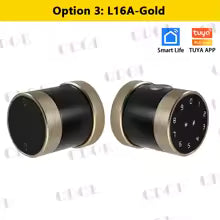 CDOK L16A Tuya Bluetooth Smart Lock, Fingerprint Lock, Password Lock, Door Lock